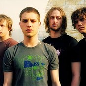 Rooster - List pictures