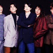 Unicorn - List pictures