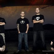 8 Foot Sativa - List pictures