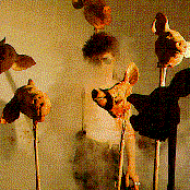 Foetus - List pictures