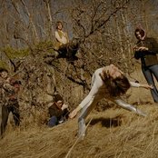 An Albatross - List pictures