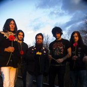 An Albatross - List pictures