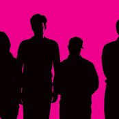 The Magnetic Fields - List pictures