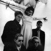 Sugarcubes - List pictures