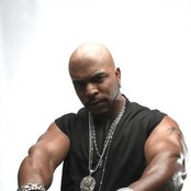 Renegade Foxxx - List pictures