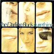 The Darling Buds - List pictures