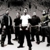 Born From Pain - List pictures