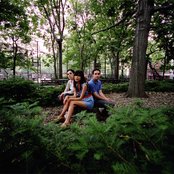 The Pains Of Being Pure At Heart - List pictures