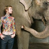 Trevor Hall - List pictures