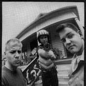 Pond - List pictures