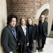 Gov't Mule - List pictures
