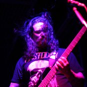 Old Major - List pictures