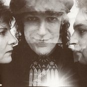 Big Electric Cat - List pictures