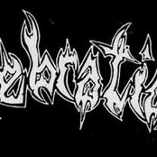 Celebration - List pictures