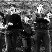 Wall Of Voodoo - List pictures