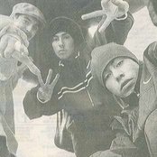 Tiro De Gracia - List pictures