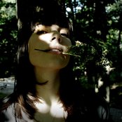 Field Mouse - List pictures