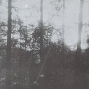 Darkwoods My Betrothed - List pictures