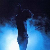 Plant Robert - List pictures