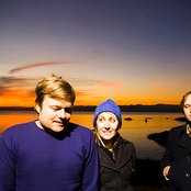 Frog Eyes - List pictures