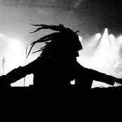 Totally Enormous Extinct Dinosaurs - List pictures