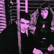 Death In Vegas - List pictures