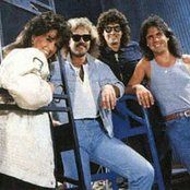 Starship - List pictures