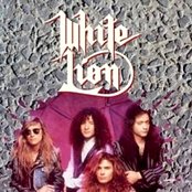White Lion - List pictures