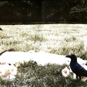 Caroline - List pictures