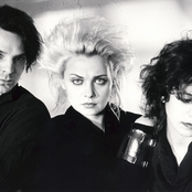 Xmal Deutschland - List pictures