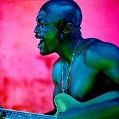 Seal - List pictures