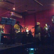 Bamboo - List pictures