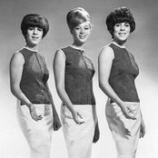 The Shangri-las - List pictures