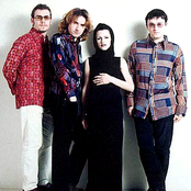 Cranberries - List pictures