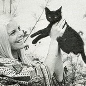 Gall France - List pictures