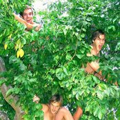 Menomena - List pictures