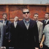 Pietasters - List pictures