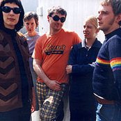 Stereolab - List pictures
