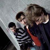 Chameleons - List pictures