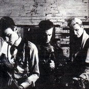 And Also The Trees - List pictures