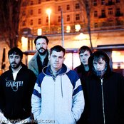 Wild Palms - List pictures