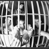 Lifer - List pictures