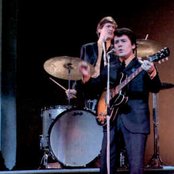 Searchers - List pictures