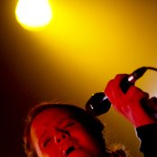 Club Des Belugas - List pictures