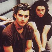 Bush - List pictures