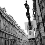 Fink - List pictures