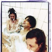 Liars - List pictures