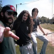 Buffalo - List pictures