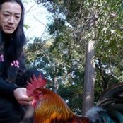 Merzbow - List pictures