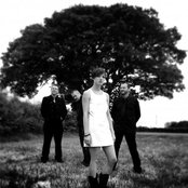 Section 25 - List pictures